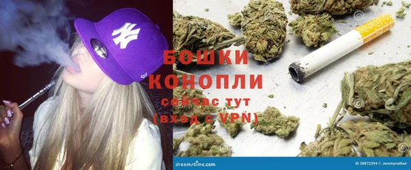 шишки Покровск